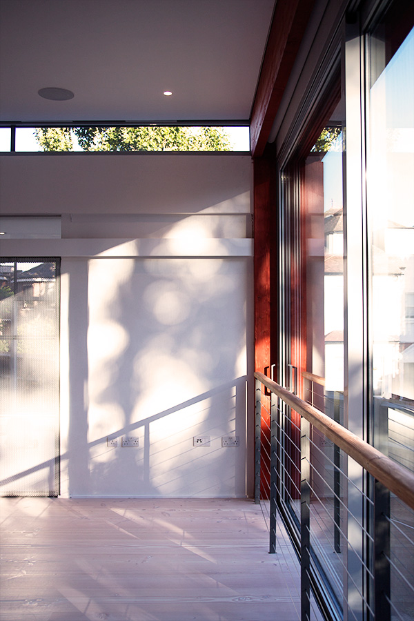 dappled sunlight on polished plaster wall & glulam in living room